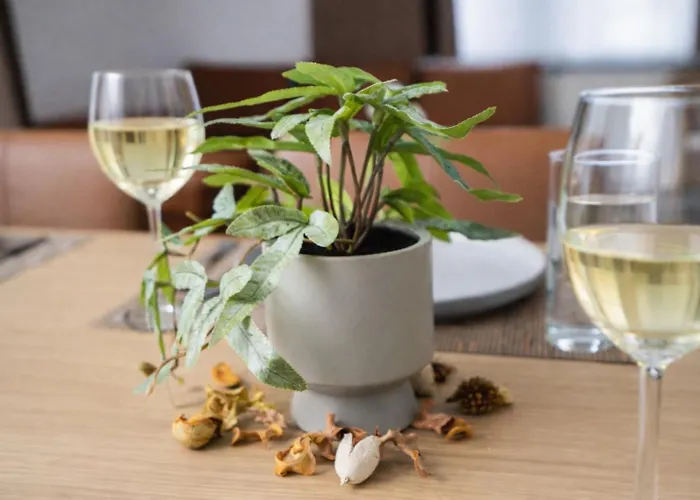 Revliving Premium Gabriels Heaven *