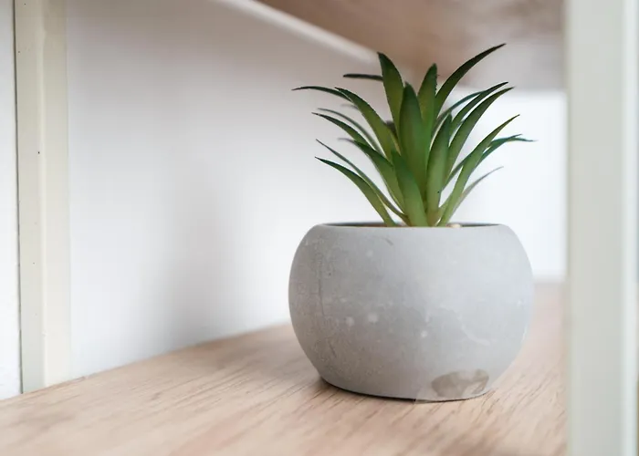 Revliving Premium Gabriels Heaven Lejlighed *